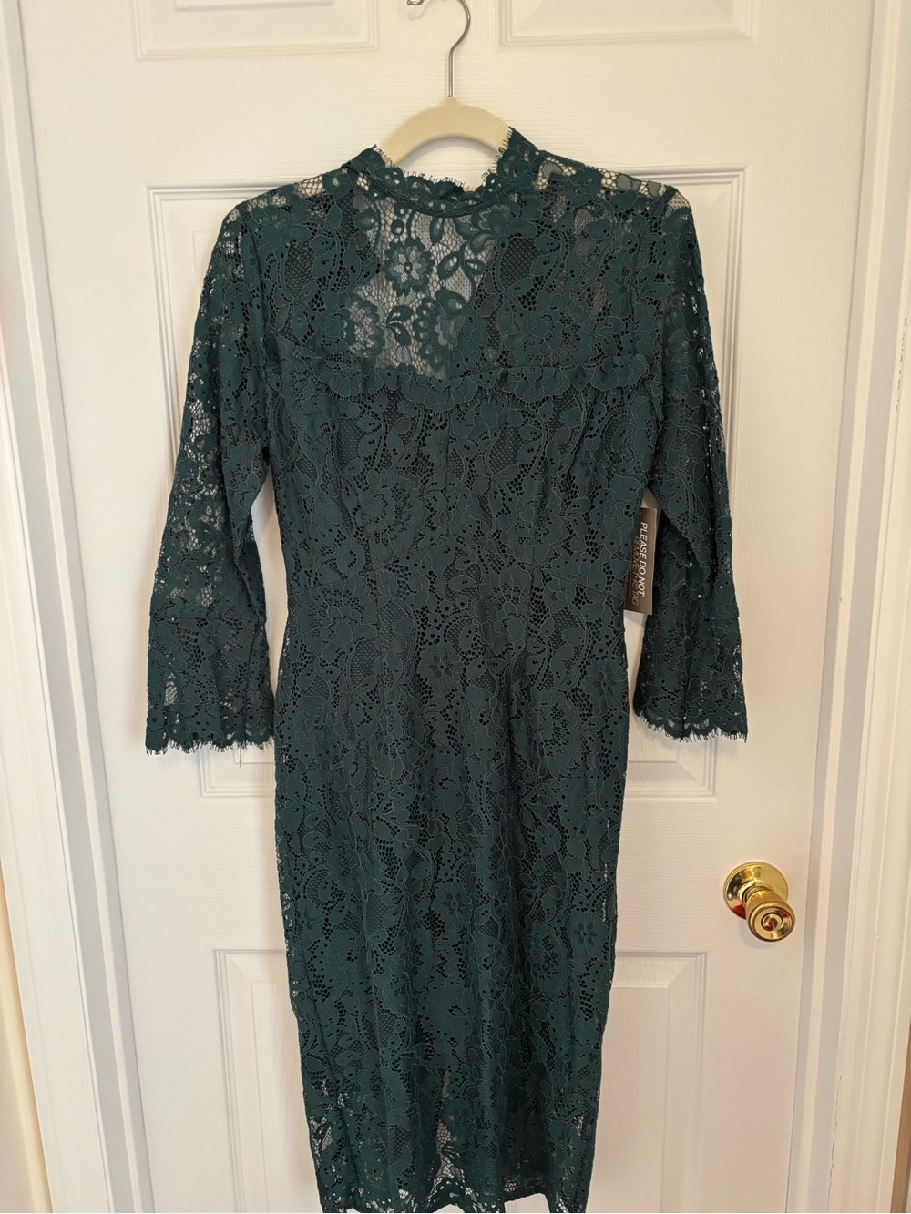 Lace Sheath Dress in Dark Green